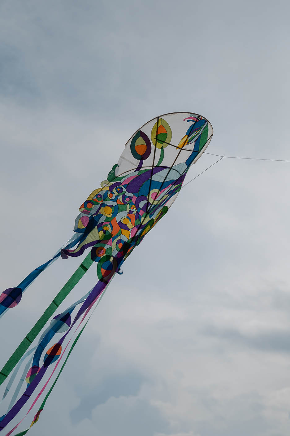 Festa_aquilone_202218.jpg