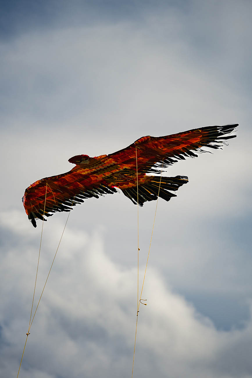 Festa_aquilone_202219.jpg