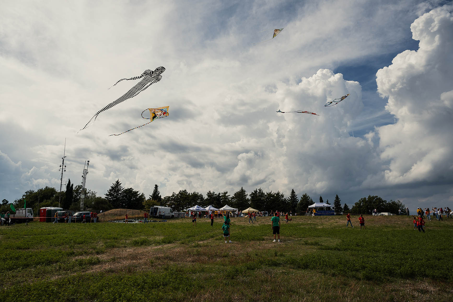 Festa_aquilone_202268.jpg
