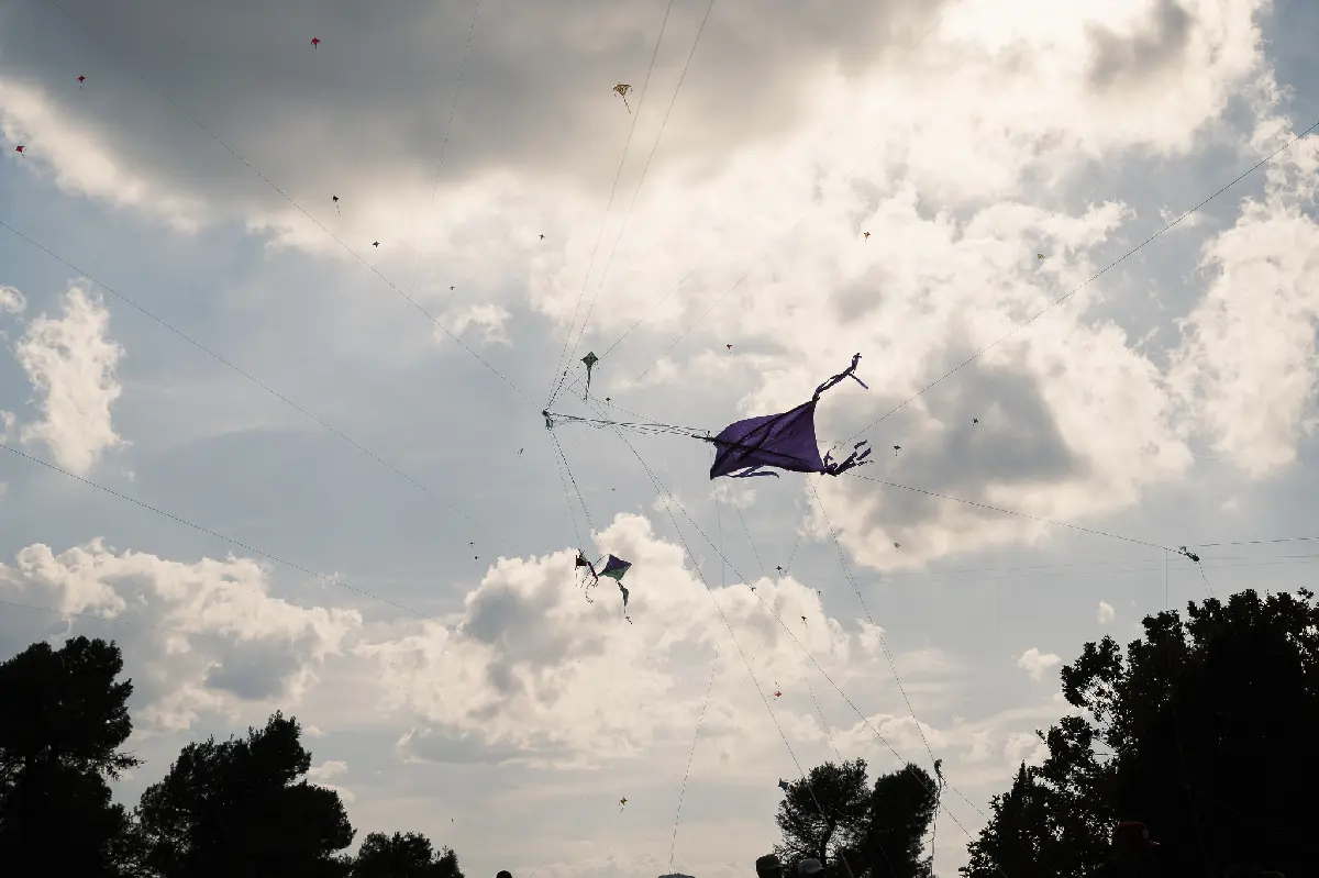 image039-1.webp