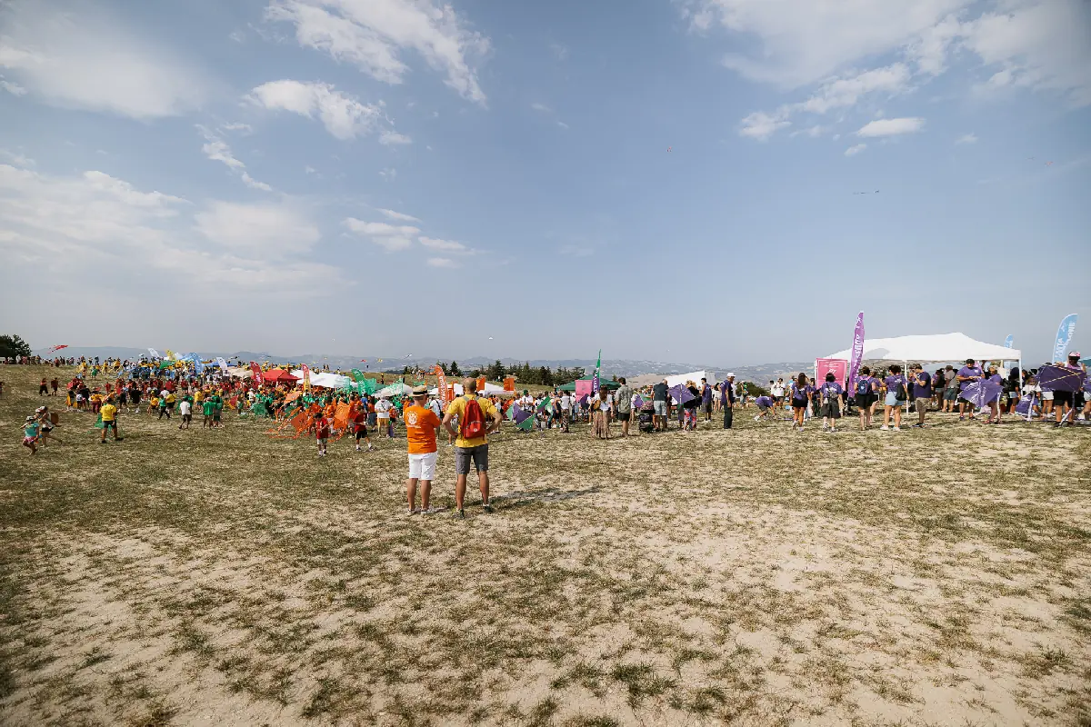 TT_6650.webp