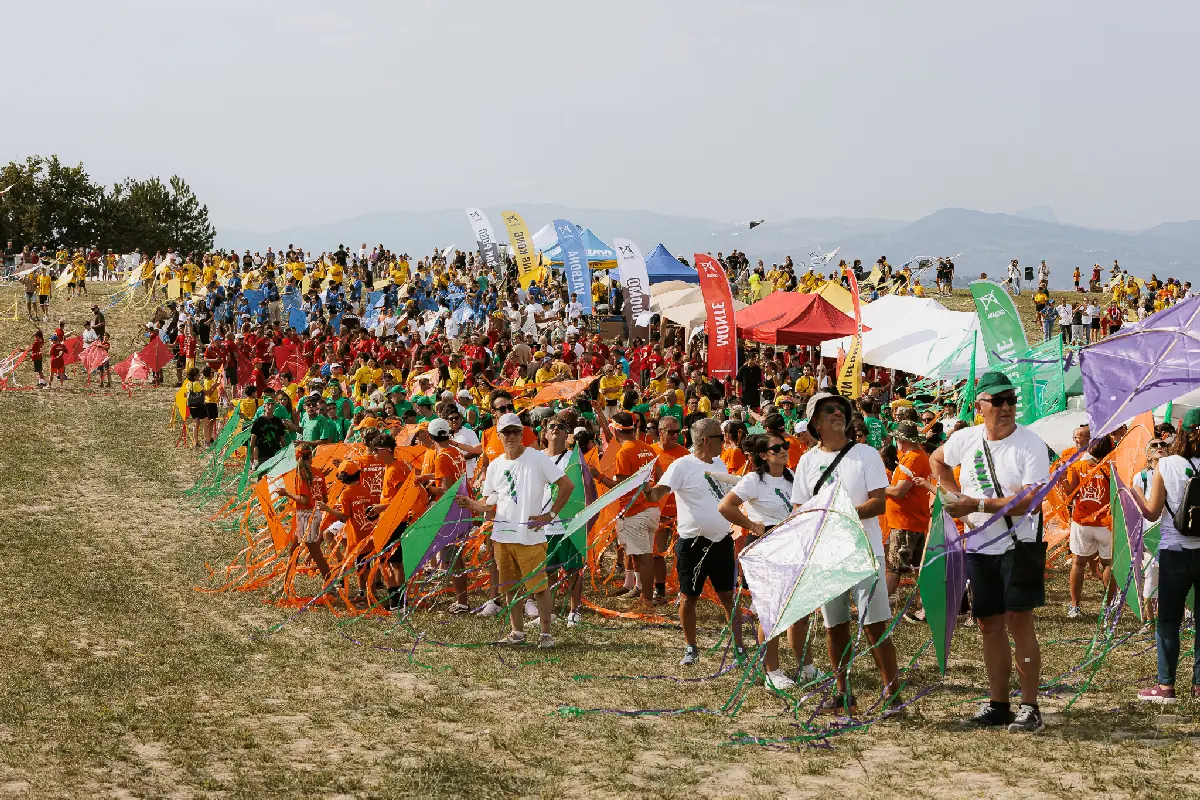TT_6684.webp