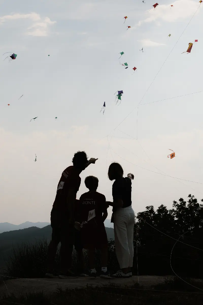 TT_6823.webp